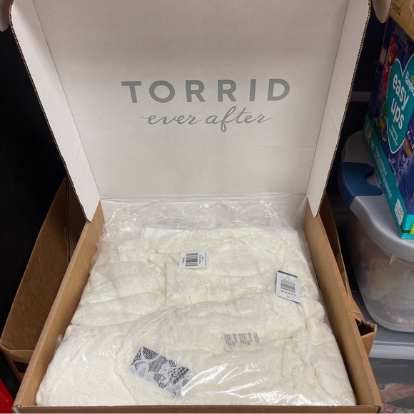 Torrid Ivory Lace Capelet Wedding Dress Size 10 - Picture 6 of 10